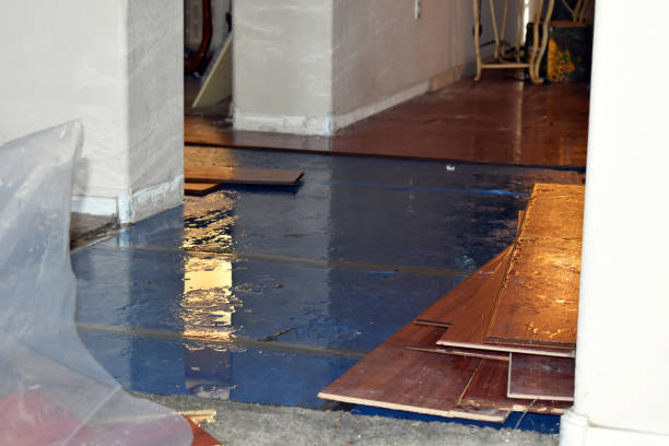 Professional Water Damage Restoration technician working in Daniels, WV